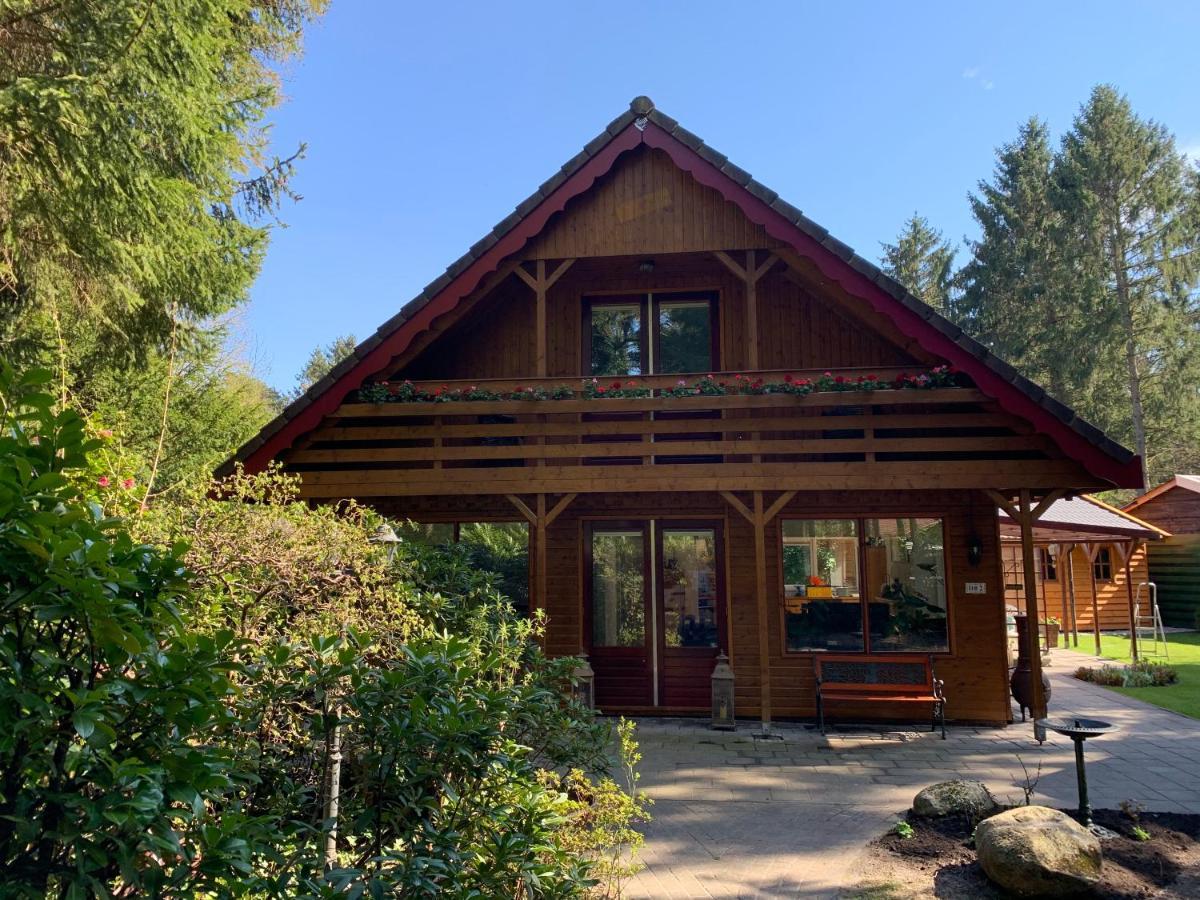 'T Holten Huus - Puur Genieten In Het Bos. Norg Exterior foto