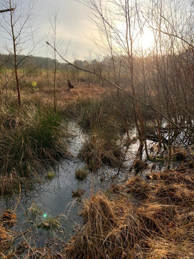 'T Holten Huus - Puur Genieten In Het Bos. Norg Exterior foto